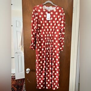 Zara Polka Dot Dress